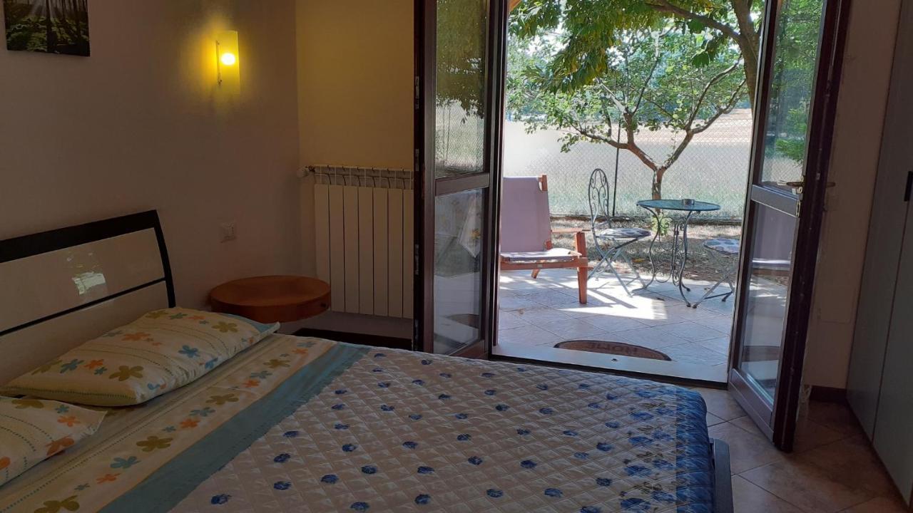 B&B Il Pizzagiallo Massa Martana Exterior photo