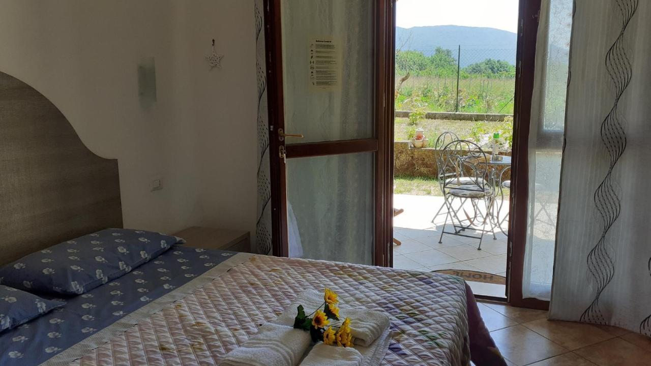 B&B Il Pizzagiallo Massa Martana Exterior photo