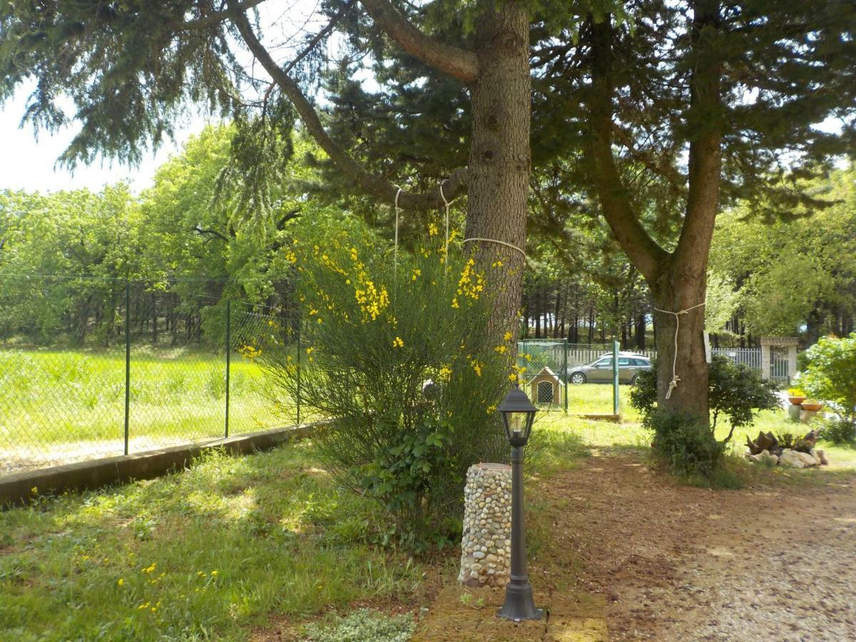 B&B Il Pizzagiallo Massa Martana Exterior photo